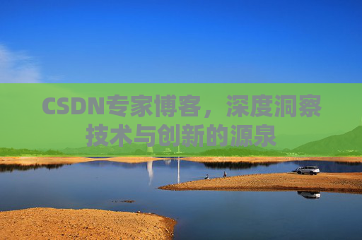 CSDN专家博客，深度洞察技术与创新的源泉